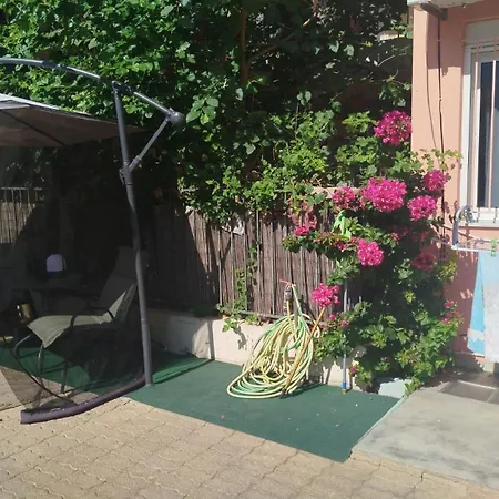 Olga& Jimmy's * Faraí